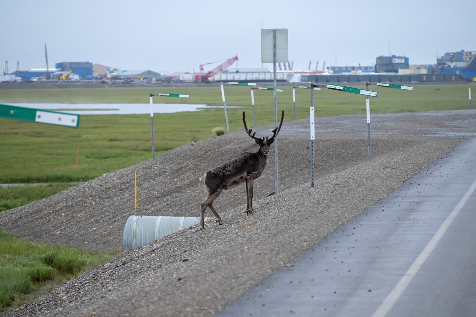 Northern lights over the North Slope