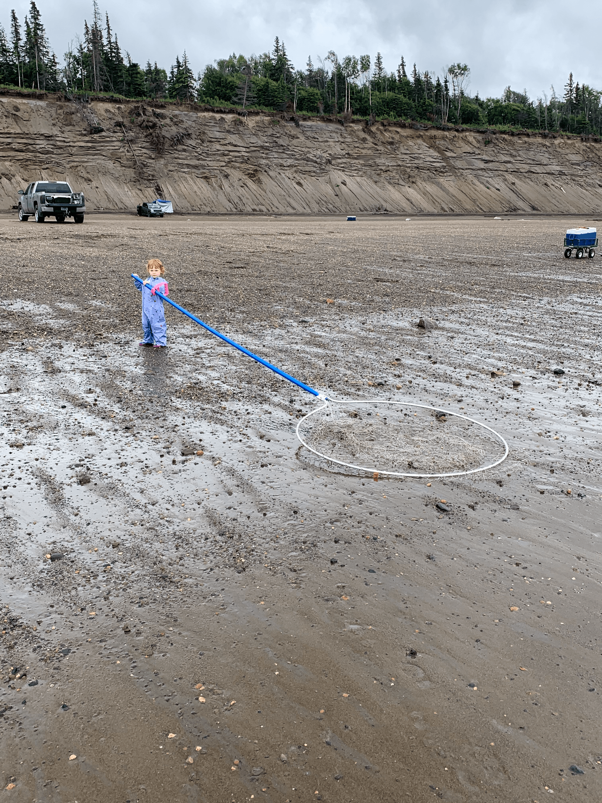 Kenai River Mouth Dipnetting