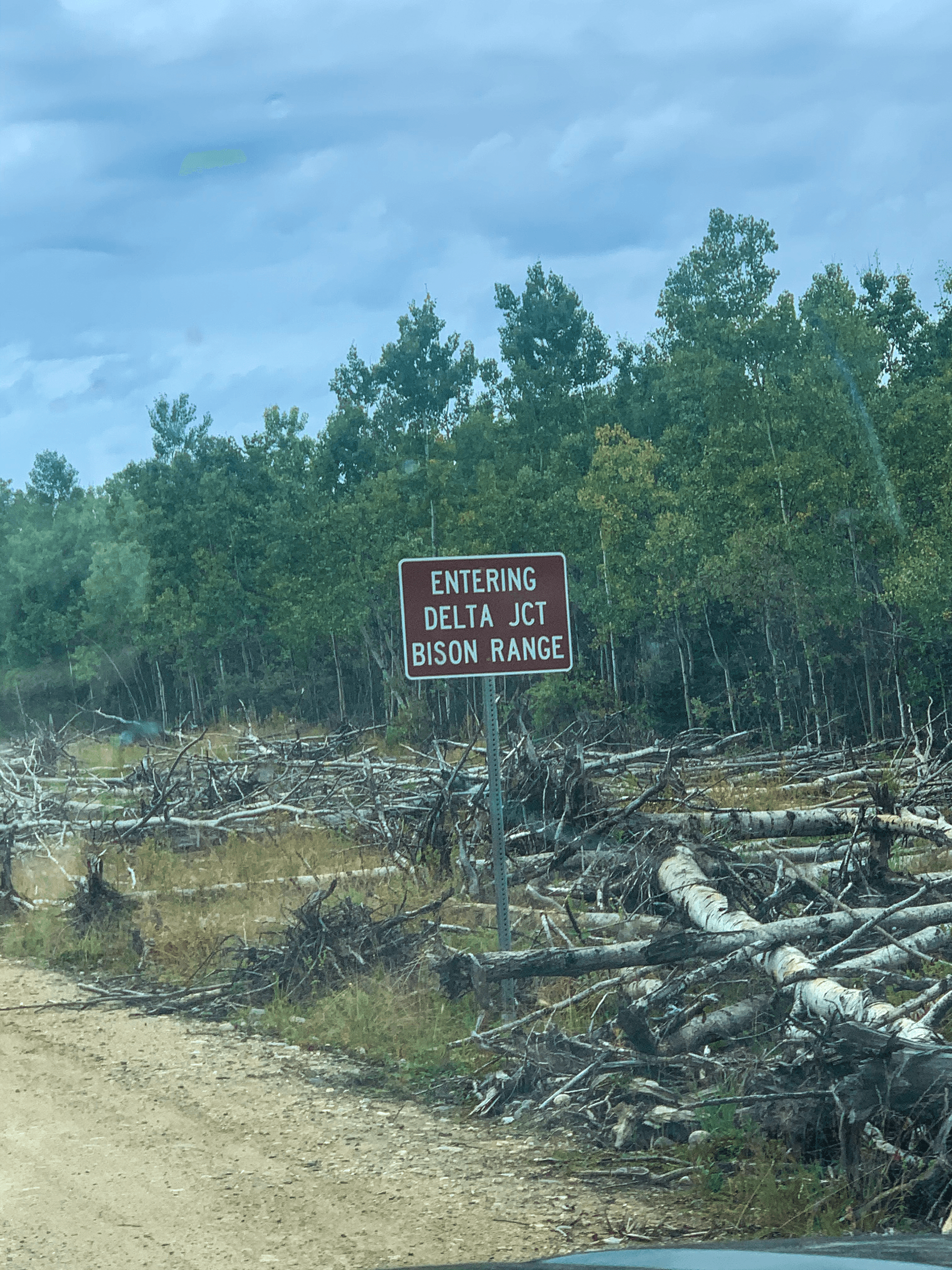 The Macomb Caribou Hunt: A Broken Frame and Fresh Tracks