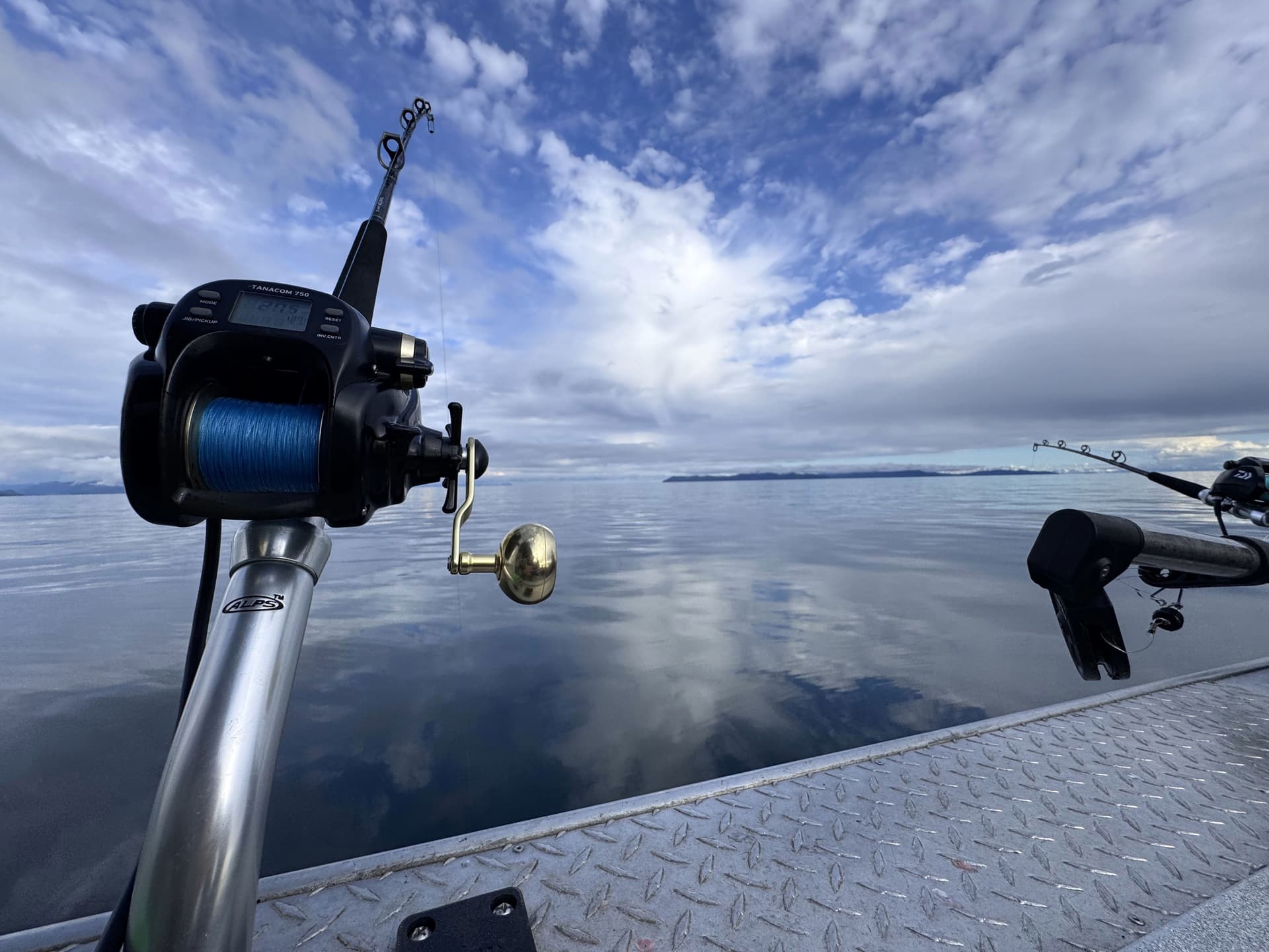 Halibut fishing out of Whittier