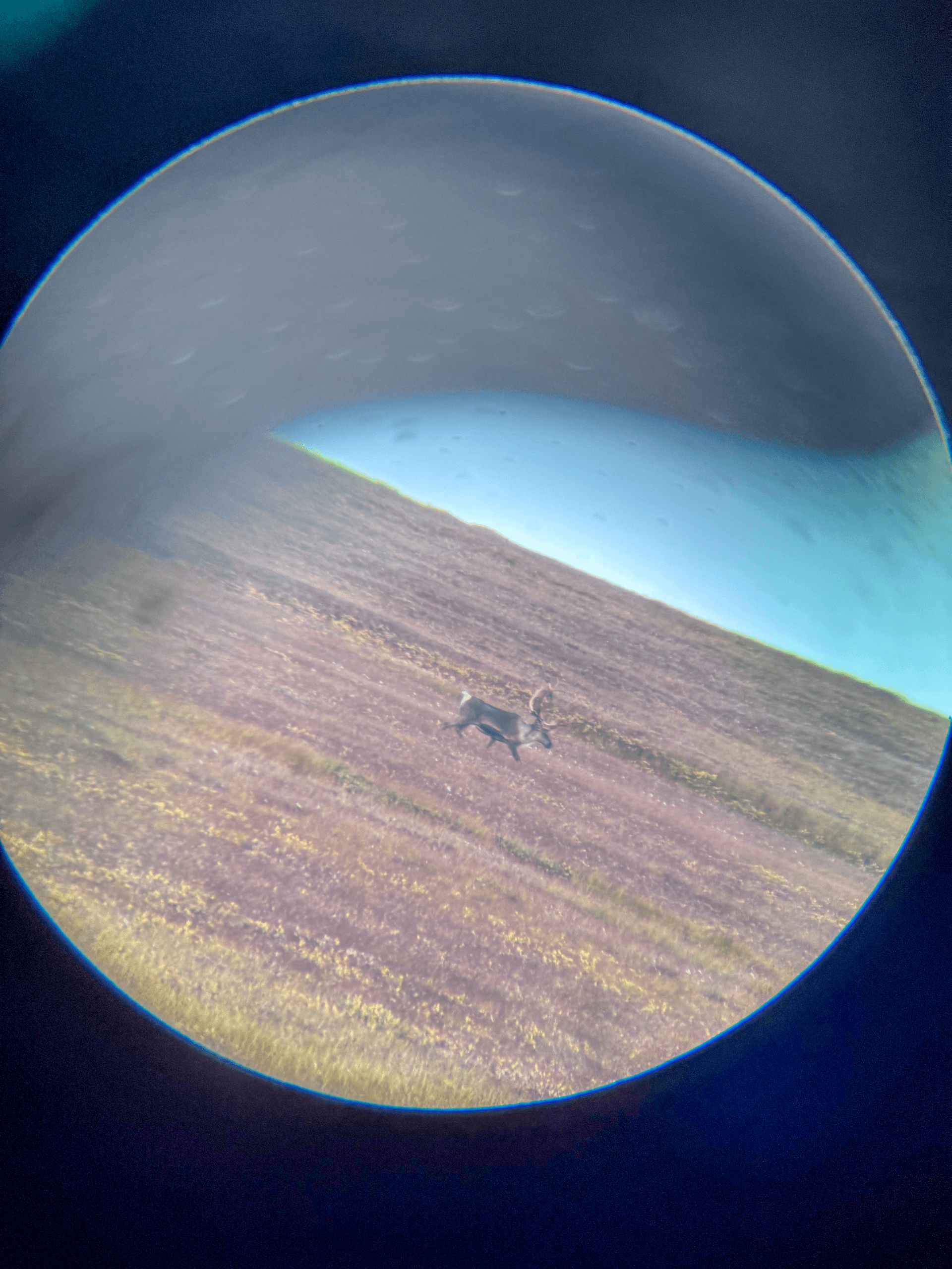 A spiderwebbed broken truck window on the Dalton Highway
