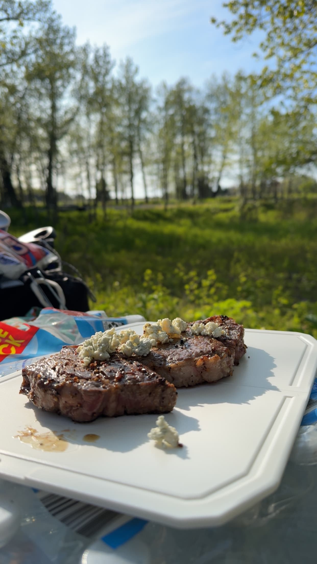 Argo at Halibut Campground