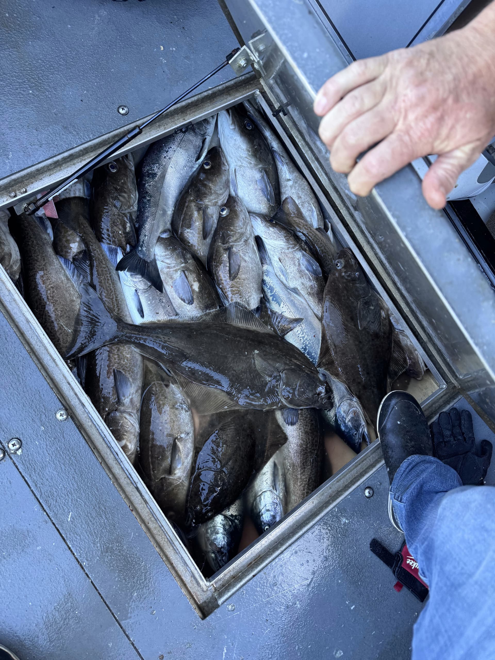 Prince William Sound, Alaska
