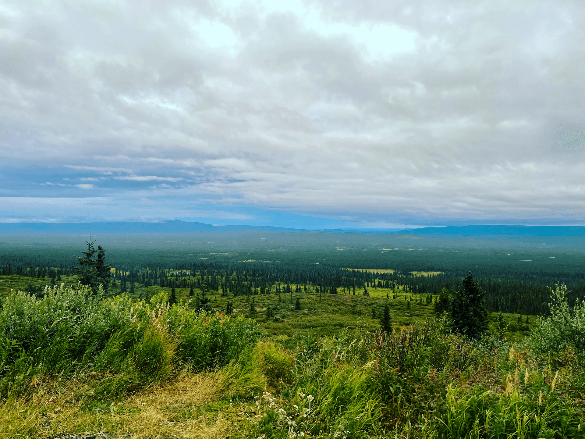 Osar Lake Trail campground